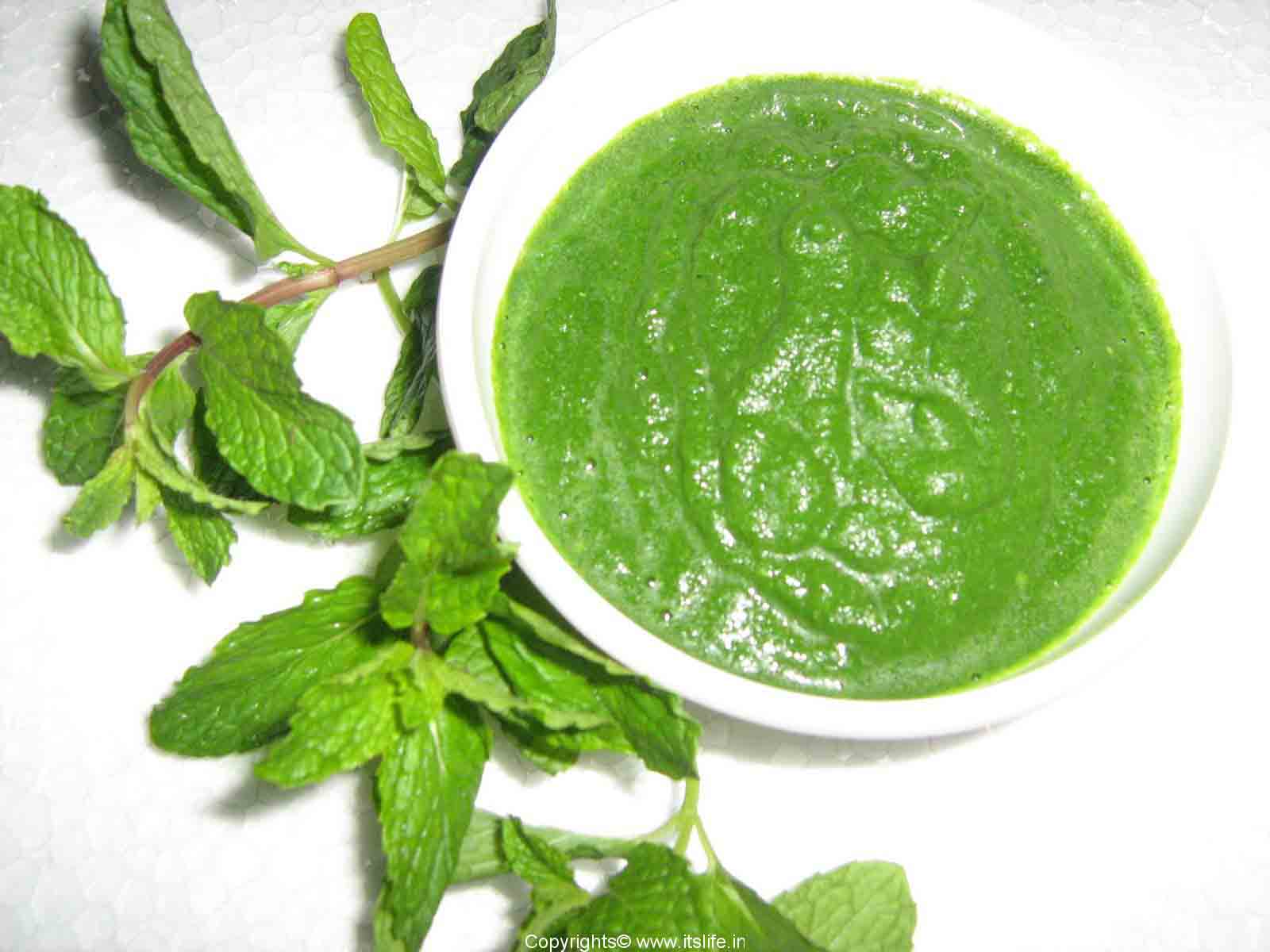 pudina_masala